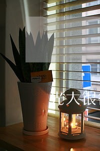 光大银行信用卡逾期 坐牢